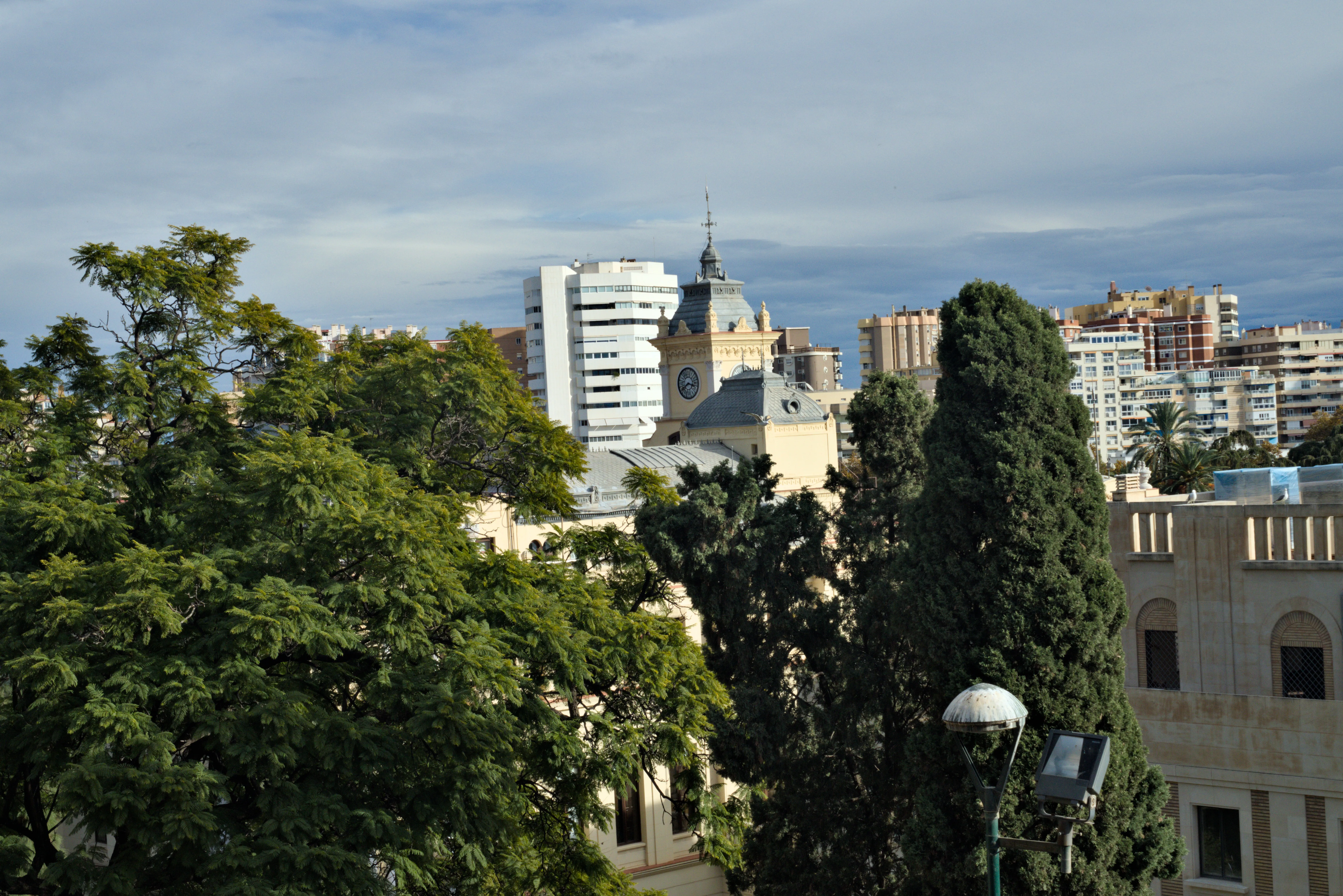 Meyer-Optik Görlitz Primagon 35mm f4.5 (M42) - _I4A7278.webp